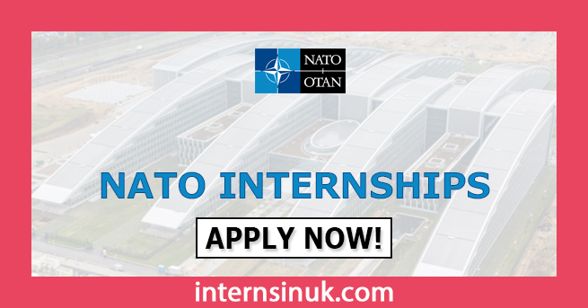 NATO Internship