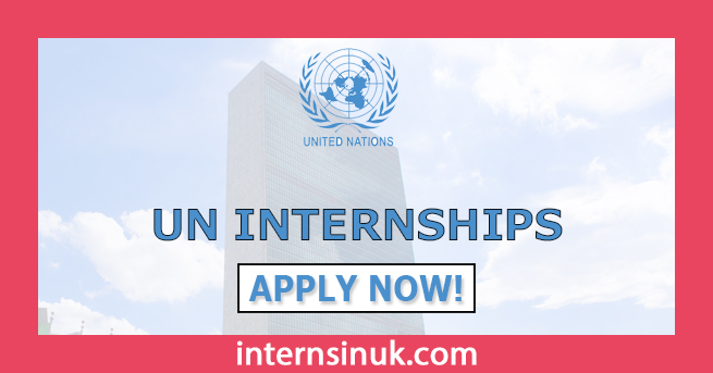 UN Internship